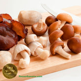 Hongo silvestre orgánico (250g)